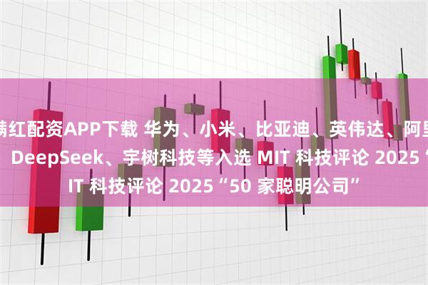 满红配资APP下载 华为、小米、比亚迪、英伟达、阿里巴巴、游戏科学、DeepSeek、宇树科技等入选 MIT 科技评论 2025“50 家聪明公司”