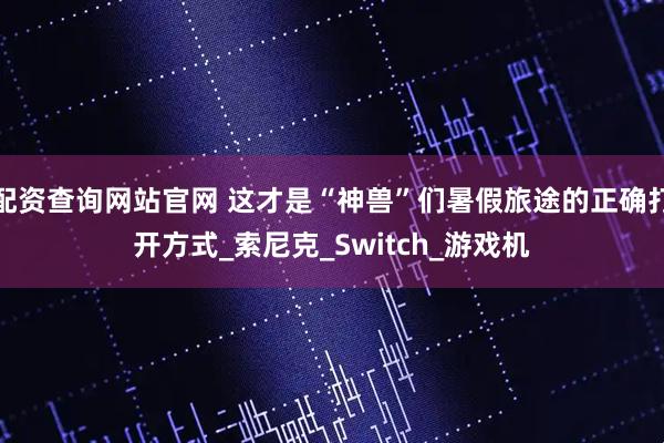 配资查询网站官网 这才是“神兽”们暑假旅途的正确打开方式_索尼克_Switch_游戏机