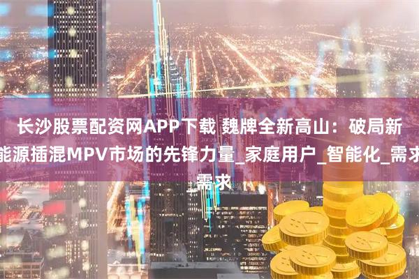 长沙股票配资网APP下载 魏牌全新高山：破局新能源插混MPV市场的先锋力量_家庭用户_智能化_需求