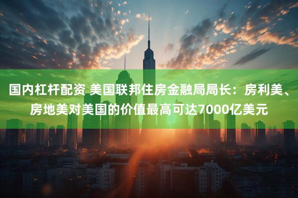 国内杠杆配资 美国联邦住房金融局局长：房利美、房地美对美国的价值最高可达7000亿美元