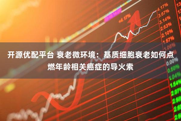 开源优配平台 衰老微环境：基质细胞衰老如何点燃年龄相关癌症的导火索